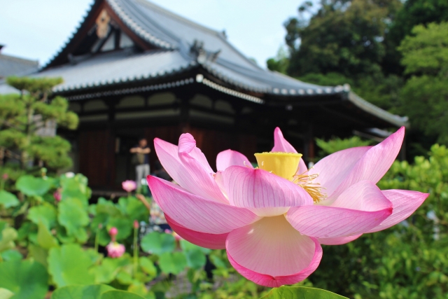 法金剛院の概要